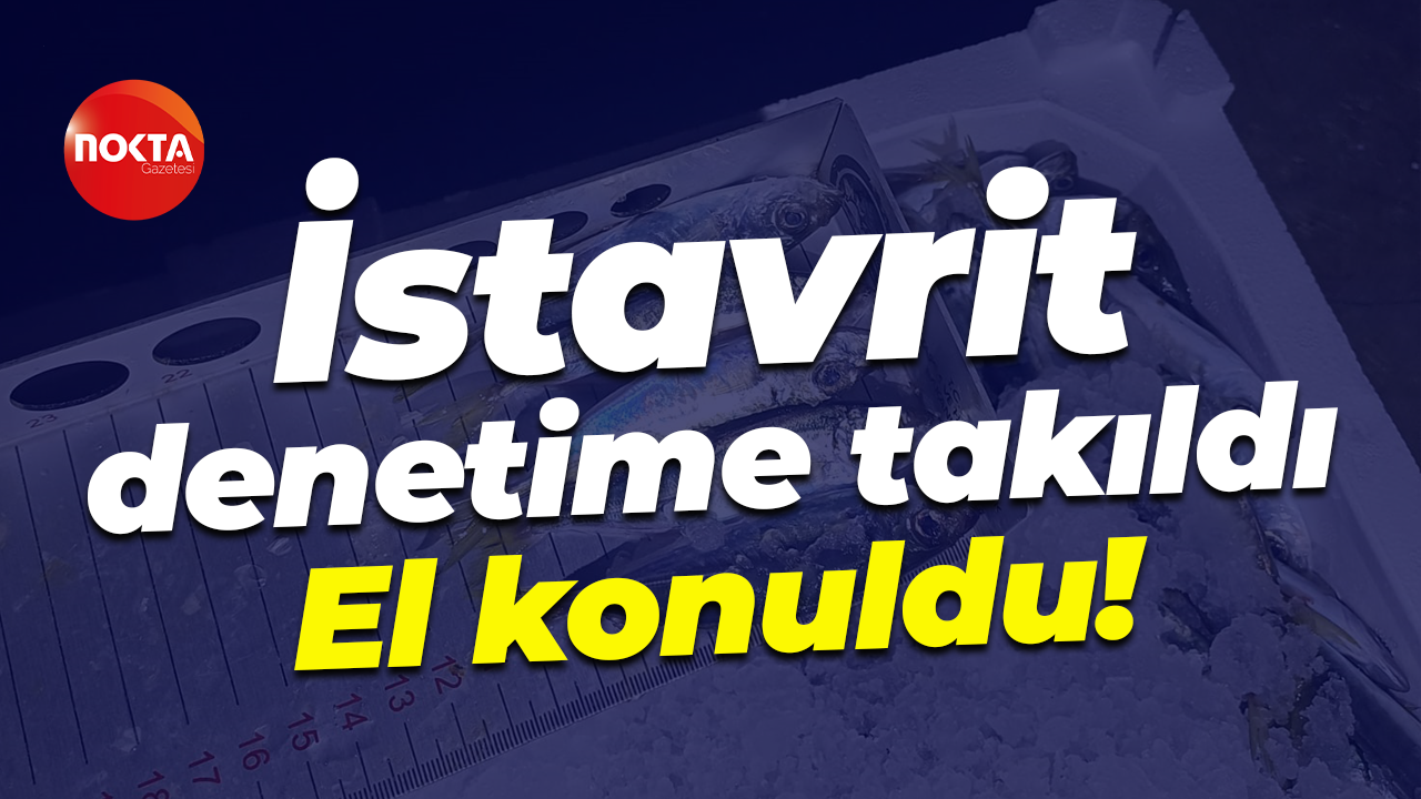 İstavrit denetime takıldı... El konuldu!
