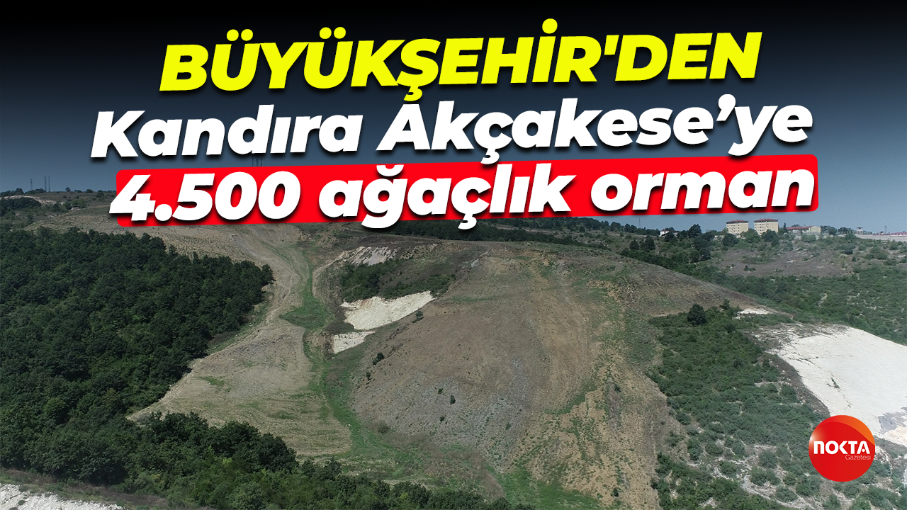 Kocaeli Büyükşehir Belediyesi'nden Kandıra Akçakese’ye 4 bin 500 ağaçlık orman