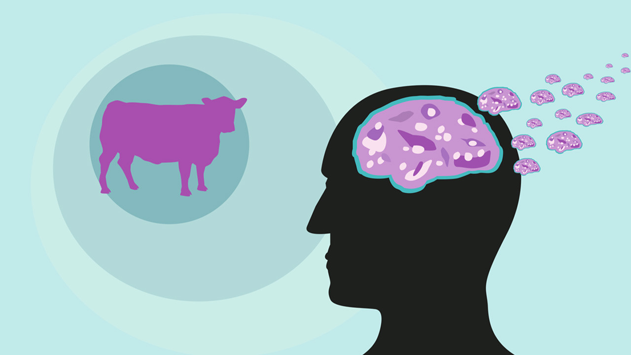 Deli Dana Hastalığı Öldürür Mü, Tedavisi Var Mı? Deli Dana Hastalığı İnsandan İnsana Nasıl Bulaşır?