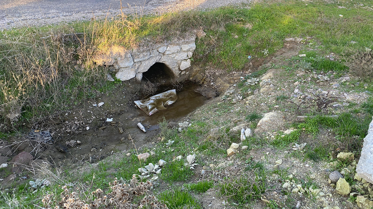 Boş arazide bebek cesedi bulundu!