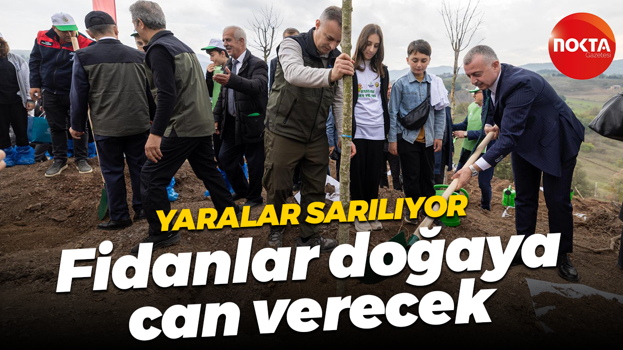 Karamürsel'de yaralar sarılıyor: Binlerce fidan doğaya can verecek