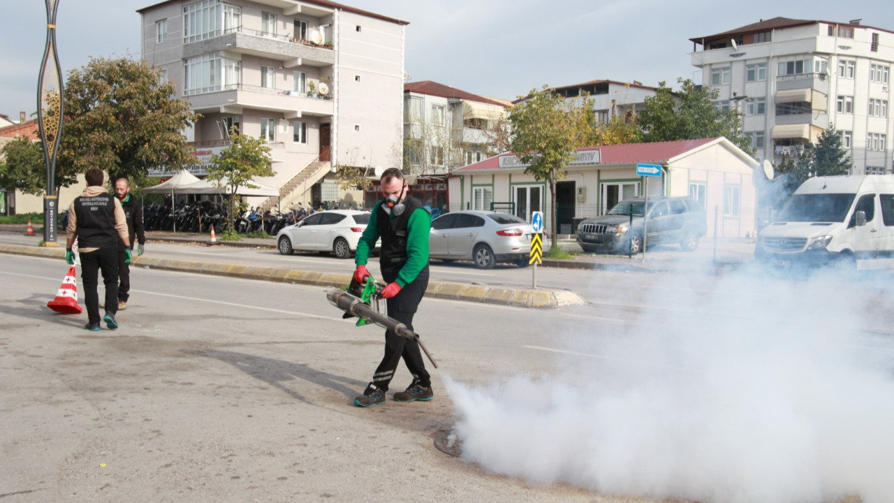 Kocaeli'de sinekle mücadele devam ediyor!