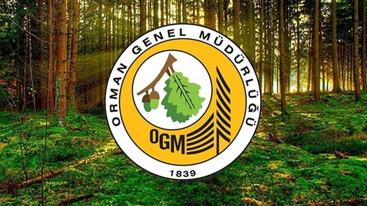 OGM 496 SÖZLEŞMELİ PERSONEL ALIMI BAŞVURU EKRANI | OGM Sözleşmeli Personel Başvurusu Nasıl Yapılır?