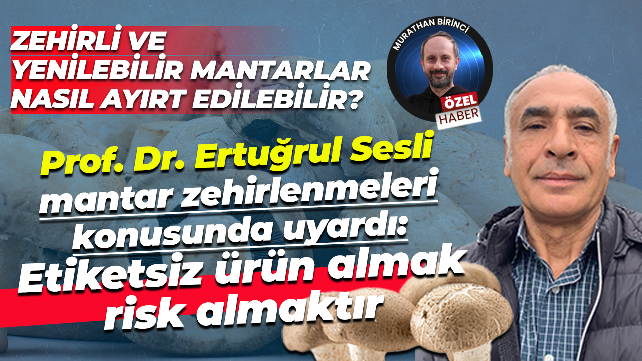 Prof. Dr. Ertuğrul Sesli mantar zehirlenmeleri konusunda uyardı: Etiketsiz ürün almak risk almaktır