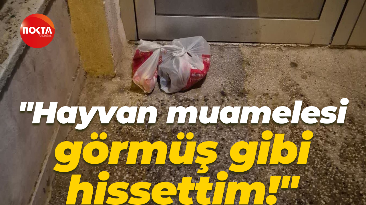 Kurye yemek siparişini kapı önüne koyup gitmiş! Müşteri: Hayvan muamelesi görmüş gibi hissettim!
