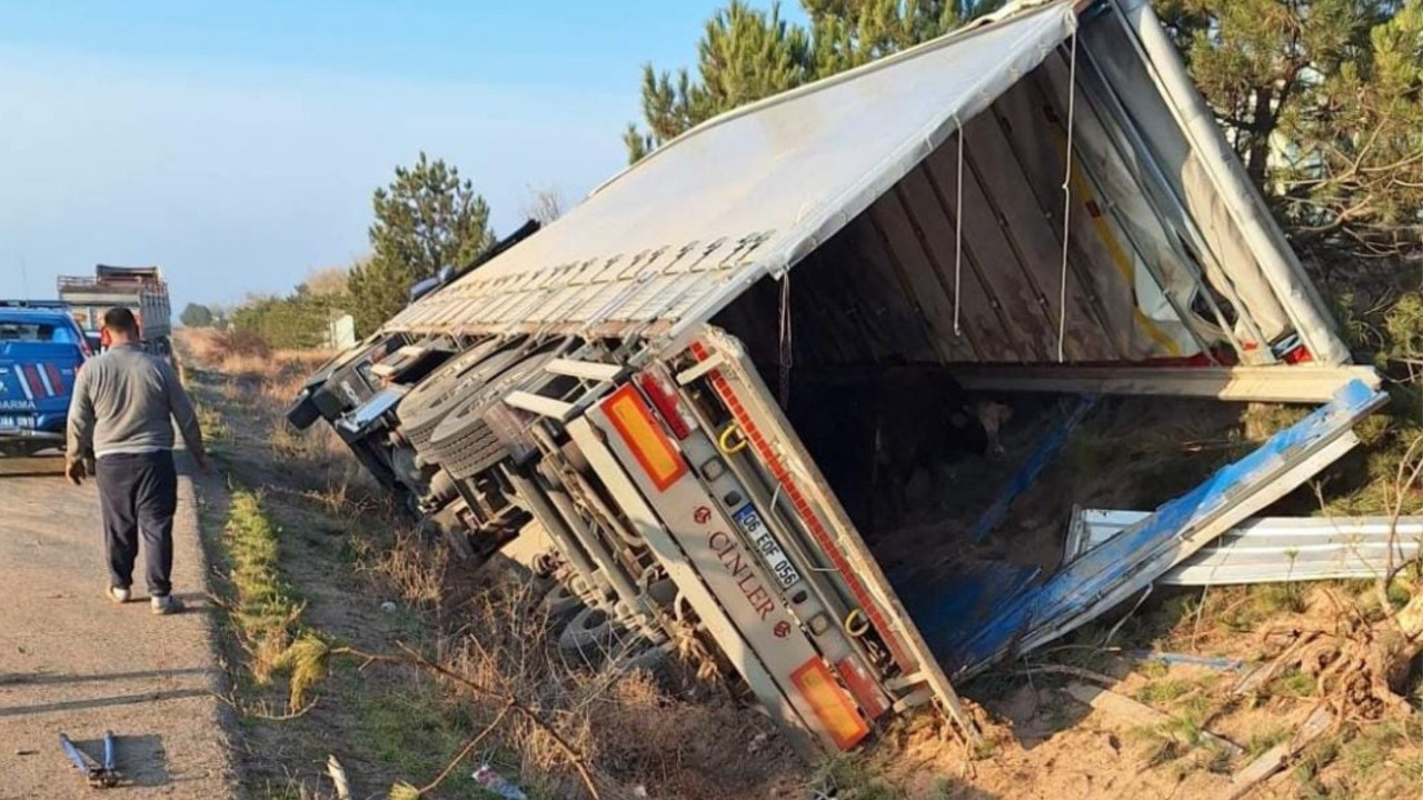 TIR devrildi: 5 büyükbaş hayvan telef oldu