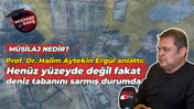Prof. Dr. Halim Aytekin Ergül: Marmara Denizi nüfusun etkilerini taşımakta zorlanıyor!