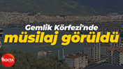 Gemlik Körfezi'nde müsilaj görüldü
