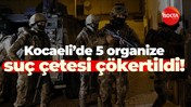 Kocaeli’de 5 organize suç çetesi çökertildi!
