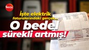 Ünlü gazeteci elektrik faturalarındaki gerçeği yazdı! Elektrik neden pahalı?