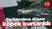 Su kanalına düşen köpek kurtarıldı