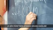 25 Bin Öğretmen Ataması Branş Dağılımı Belli Oldu Mu? MEB Hangi Branştan Kaç Öğretmen Atanacak?