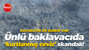 Kocaeli’de de şubesi var… Ünlü baklavacıda 'kurtlanmış ceviz' skandalı!