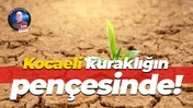 Kocaeli kuraklığın pençesinde!