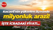 Kocaeli’nin yükselen ilçesinde icradan milyonluk arazi! İşte fiyatı