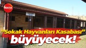 Kocaeli'de “Sokak Hayvanları Kasabası” büyüyecek!