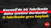 Kocaeli’de bir fabrikada daha üretimi durdurdu! O fabrikada grev başladı