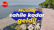 Müsilaj sahile kadar geldi!