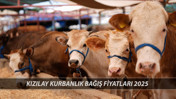 KIZILAY KURBANLIK BAĞIŞ 2025 FİYATLARI | Kızılay Vekaletle Kurban Bağışı Nasıl Yapılır?