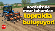 Kocaeli'nde mısır tohumları toprakla buluşuyor!