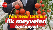 Yeni nesil tarımın ilk meyveleri toplanıyor!