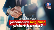 Kocaeli'de yabancılar kaç tane şirket kurdu?