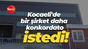Kocaeli'de bir şirket daha konkordato istedi!