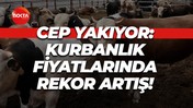 Cep yakıyor: Kurbanlık fiyatlarında rekor artış!