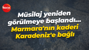 Müsilaj yeniden görülmeye başlandı… Marmara'nın kaderi Karadeniz'e bağlı
