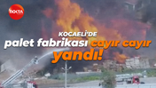 İki kişi yaralandı… Palet fabrikasındaki büyük yangın!
