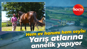 Hem ev hanımı hem seyis: Yarış atlarına annelik yapıyor