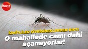 İzmitliler sivrisinekten rahatsız! O mahallede camı dahi açamıyorlar