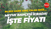 Kartepe Suadiye’de meyve bahçesi satılık! İşte fiyatı