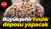 Büyükşehir fındık deposu yapacak