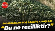 Salatalıkları boş araziye atmışlar! "Bu ne rezilliktir?"