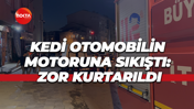 Kedi otomobilin motoruna sıkıştı: Zor kurtarıldı