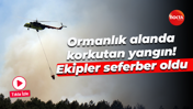 Ormanlık alanda korkutan yangın! Ekipler seferber oldu