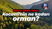 Dikkat çeken oran: Kocaeli’nin ne kadarı orman?