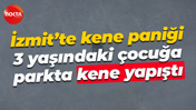 İzmit’te kene paniği… 3 yaşındaki çocuğa parkta kene yapıştı