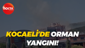 Kocaeli’de orman yangını!