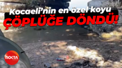 Kocaeli’nin en özel koyu çöplüğe döndü