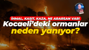 İhmal, kasıt, kaza, ne ararsan var: Kocaeli’deki ormanlar neden yanıyor?