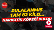 Cipte zulalanmış tam 82 kilo uyuşturucu... Narkotik köpeği buldu!