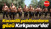 Kocaelili pehlivanların gözü Kırkpınar'da!