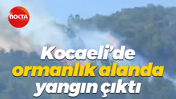 Kocaeli’de ormanlık alanda yangın çıktı