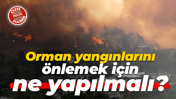Orman yangınlarını önlemek için ne yapılmalı?