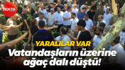 Değirmendere’de korku dolu anlar! Vatandaşların üzerine ağaç dalı devrildi