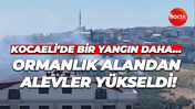 Kocaeli’de bir yangın daha… Ormanlık alandan alevler yükseldi!
