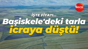 Başiskele’de bulunan tarla icraya düştü! İşte fiyatı