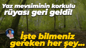 Yaz mevsiminin korkulu rüyası geri geldi! İşte bilmeniz gereken her şey... Prof. Dr. Sıla Akhan açıkladı!